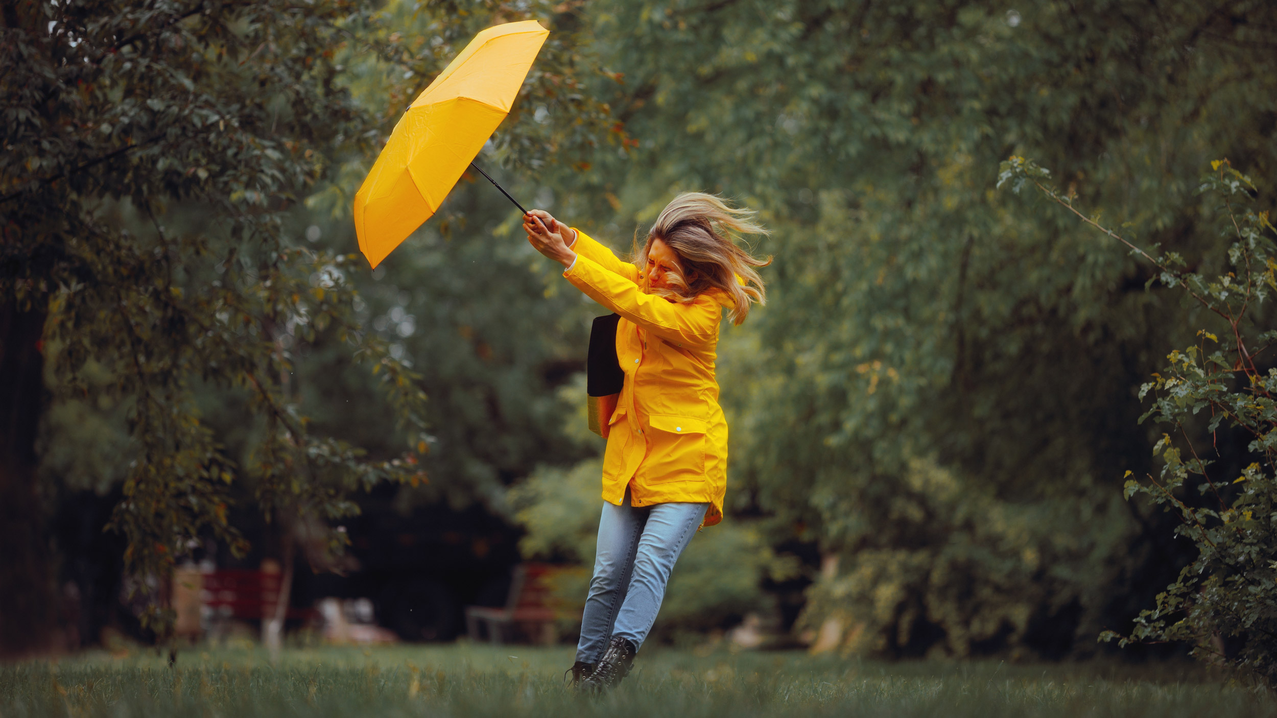202605-storm-h.jpg